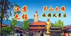 大鸡吧插逼软件视频免费看毛片江苏无锡灵山大佛旅游风景区